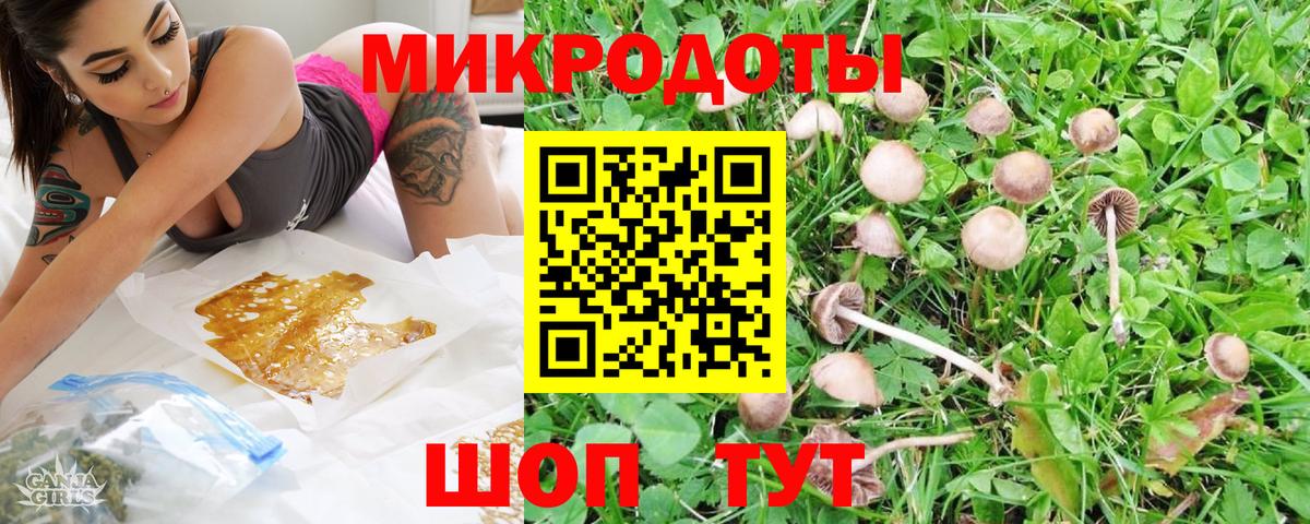 дарнет шоп  Вход с VPN  Сокол  Псилоцибиновые грибы Psilocybe 