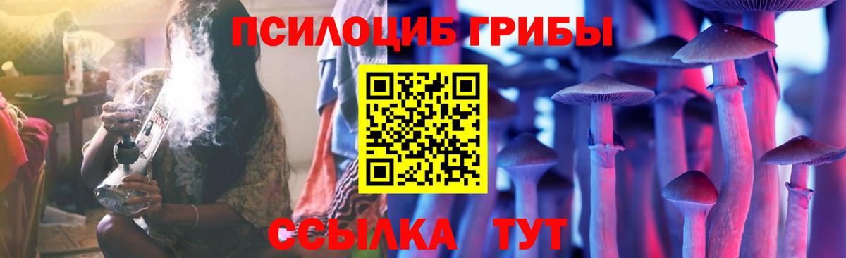 Псилоцибиновые грибы GOLDEN TEACHER Сокол
